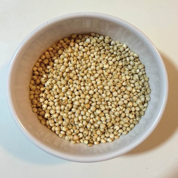 SORGHUM