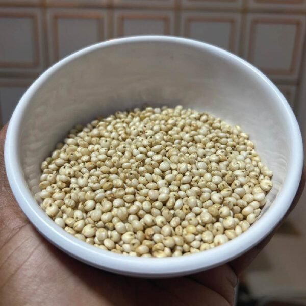 SORGHUM - Image 2